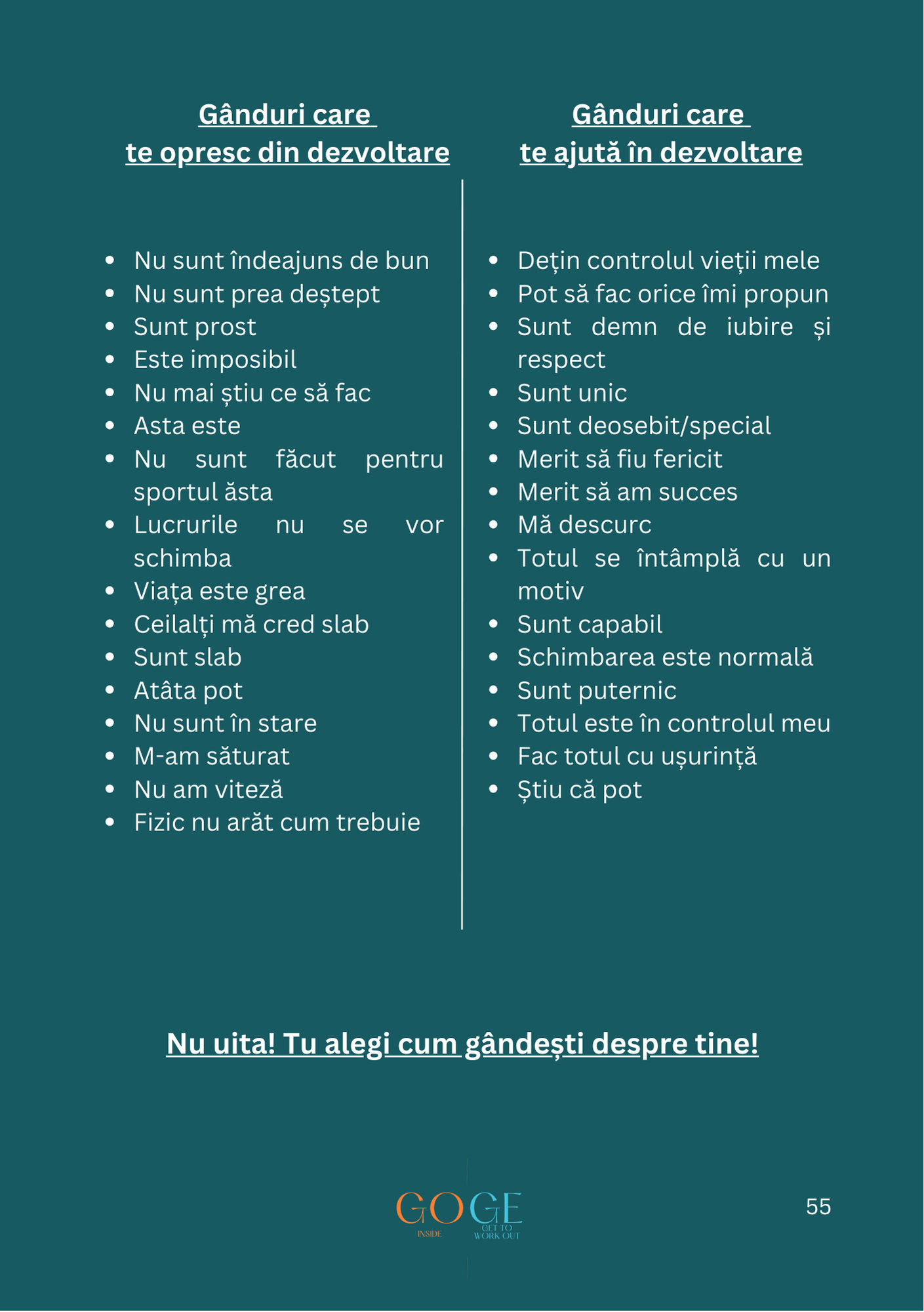 Jurnalul Campionului - imagine 7